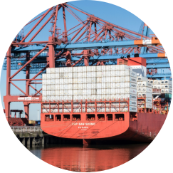 Sea Export